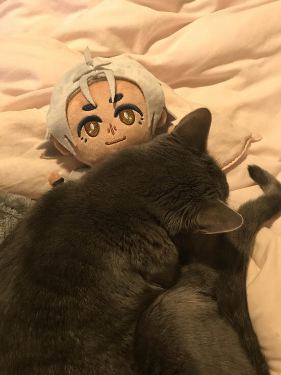 a grey cat lays curled up on a thancred plushie on a pink bedspread.